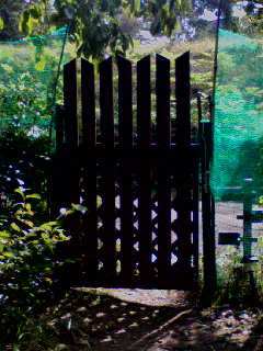 d0053940_21482672.jpg
