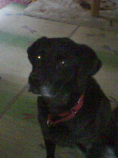 d0053940_22112586.jpg