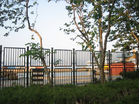 e0018143_226521.jpg