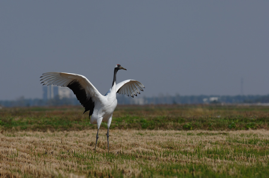 a0039245_1574037.jpg
