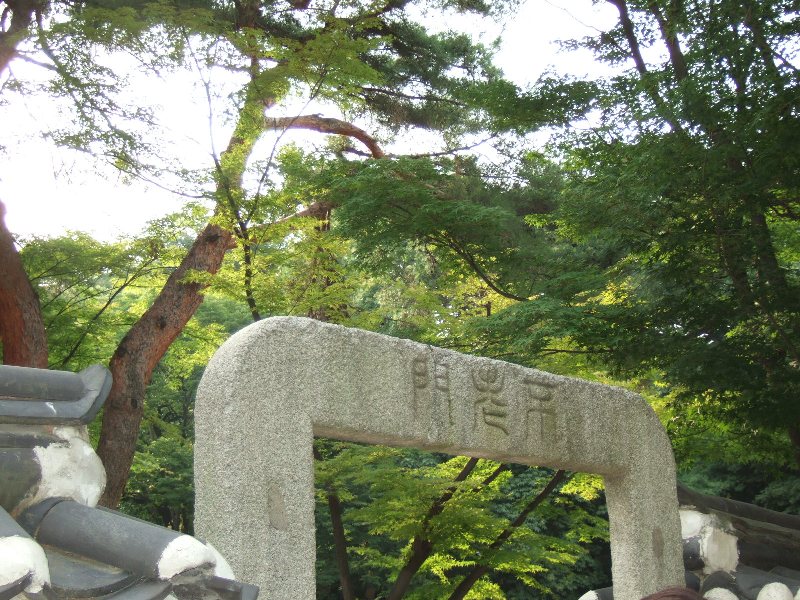 b0156645_10582273.jpg
