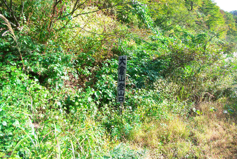 d0098645_19254114.jpg