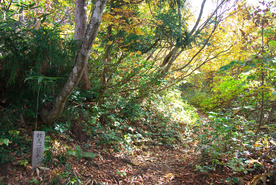 d0098645_19261630.jpg