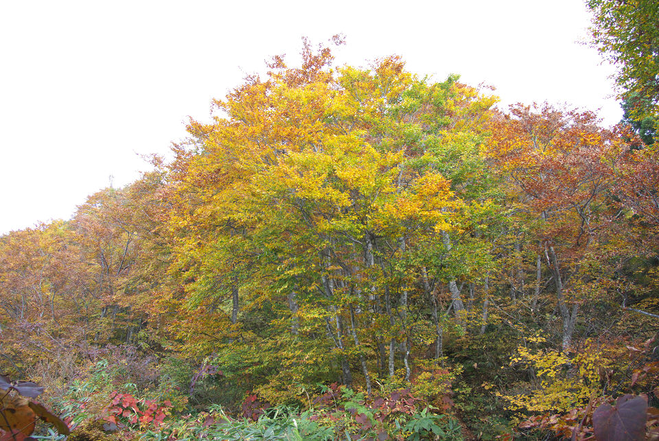 d0098645_19264815.jpg