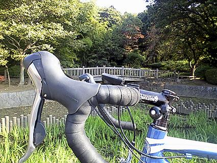 c0179152_1215737.jpg