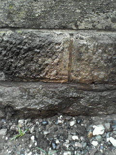 c0121954_2049162.jpg
