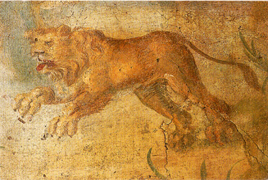 a0089556_21504742.jpg