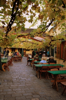 a0073357_1823027.jpg