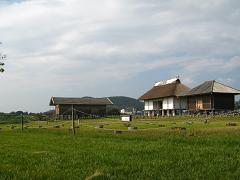 b0154959_16202478.jpg