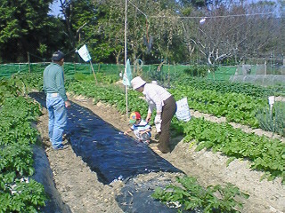 f0191259_117443.jpg