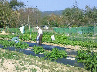 f0191259_1175741.jpg