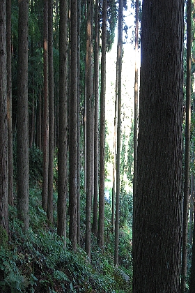 f0181663_11552667.jpg
