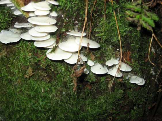f0181663_12412045.jpg