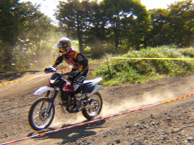 b0024266_1538783.jpg