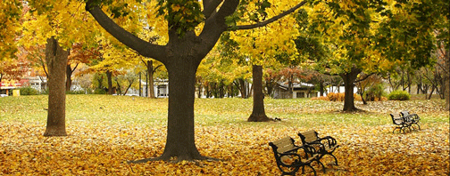 c0119068_2161351.gif