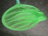 d0094868_19261036.gif