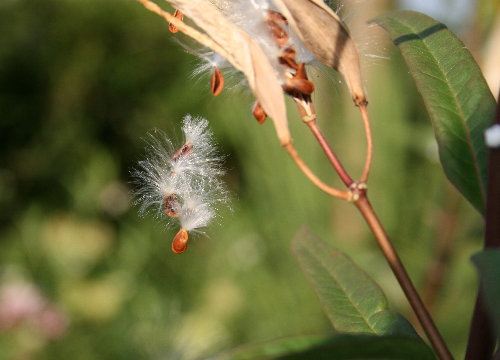 f0181173_18502777.jpg