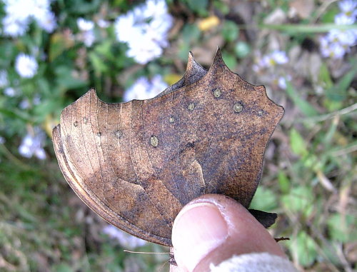 f0181173_18583364.jpg