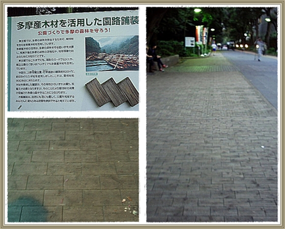 a0079880_14254064.jpg