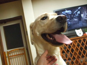 f0005081_843467.jpg
