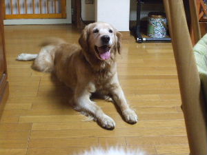 f0005081_8533211.jpg