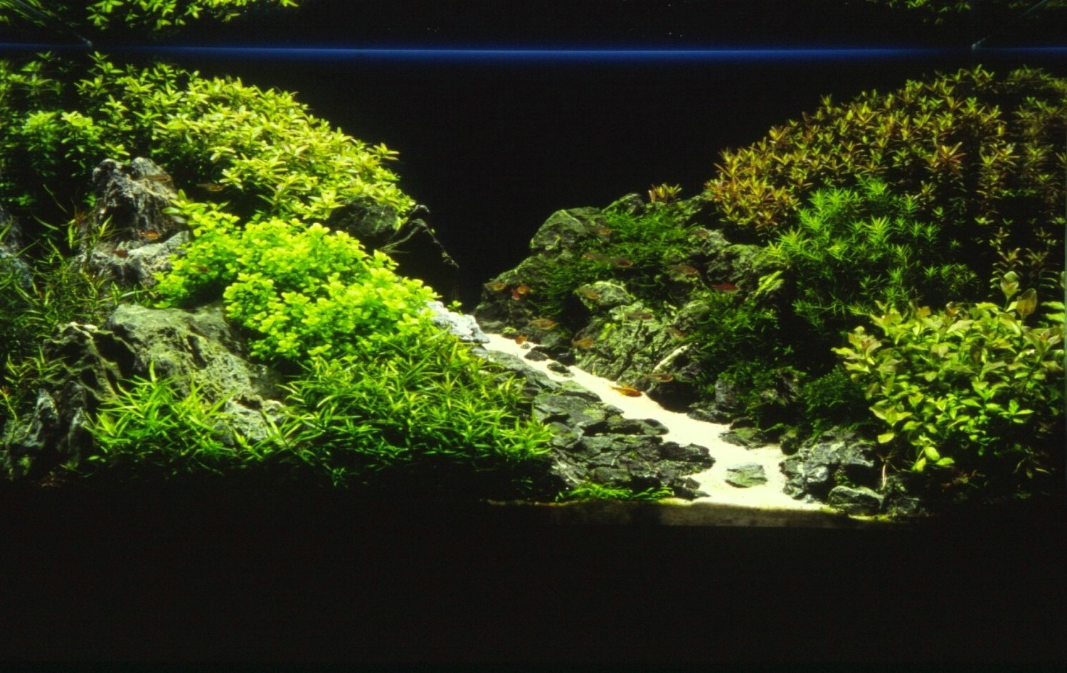 f0150182_1414660.jpg