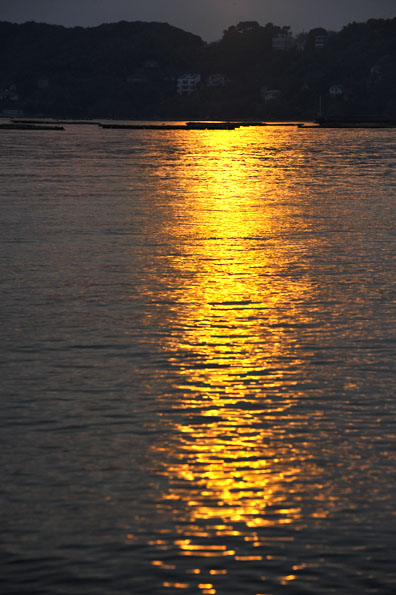 f0112087_1736223.jpg
