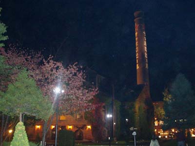 b0142688_913753.jpg