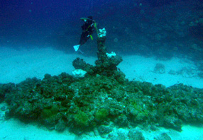 c0018489_0131084.jpg