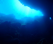 c0018489_027444.jpg
