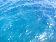 c0018489_23385176.jpg