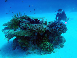 c0018489_2343336.jpg