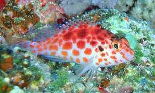 c0018489_23582045.jpg