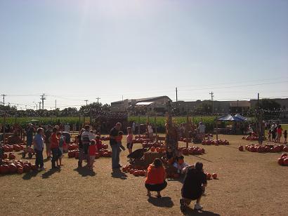 c0178690_13112870.jpg