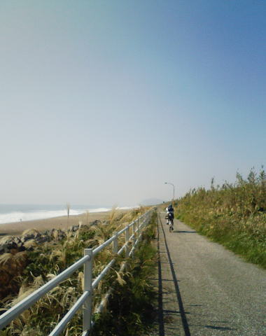 c0087392_2081520.jpg