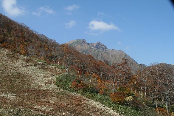 f0109592_20343158.jpg