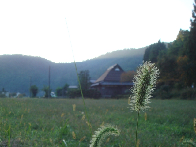 e0111793_1627982.jpg