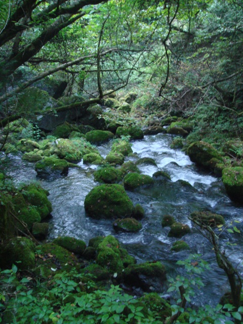 e0111793_16282988.jpg