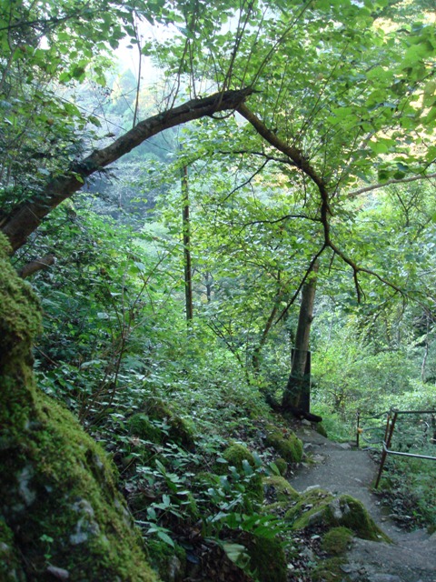 e0111793_1628833.jpg