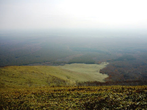 f0029393_4121596.jpg