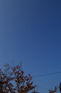 c0039898_836249.jpg