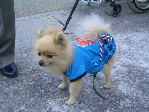 d0069498_9341041.jpg