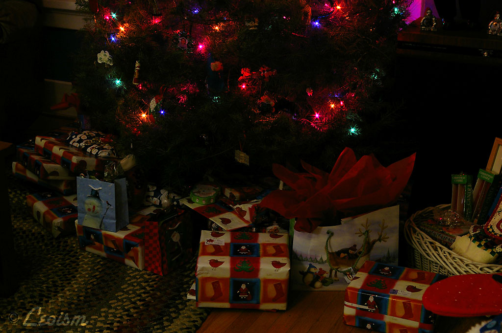 c0080101_1841593.jpg