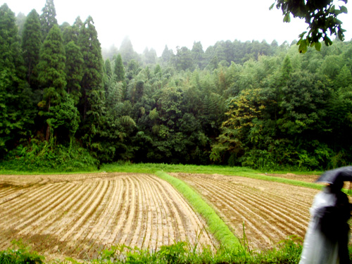 a0060003_7175148.jpg