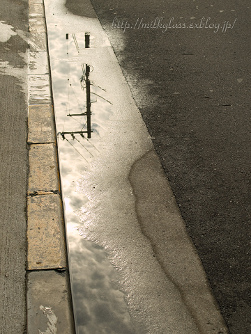 b0030003_2232719.jpg