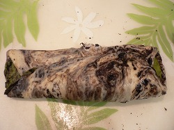 c0164603_21374432.jpg