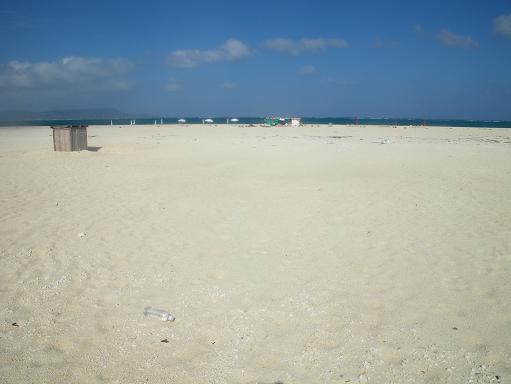 e0123808_22513174.jpg
