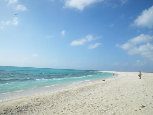 e0123808_22521120.jpg