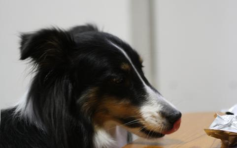 e0130008_21285923.jpg