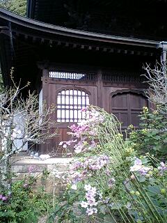 f0008510_2058279.jpg